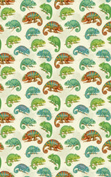 Chameleon Celebration