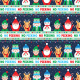 No Peeking Gift Wrap - XB875.1a.jpg