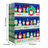 No Peeking Gift Bag - XGBL875.1b.jpg