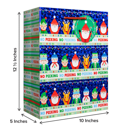 No Peeking Gift Bag - XGBL875.1b.jpg