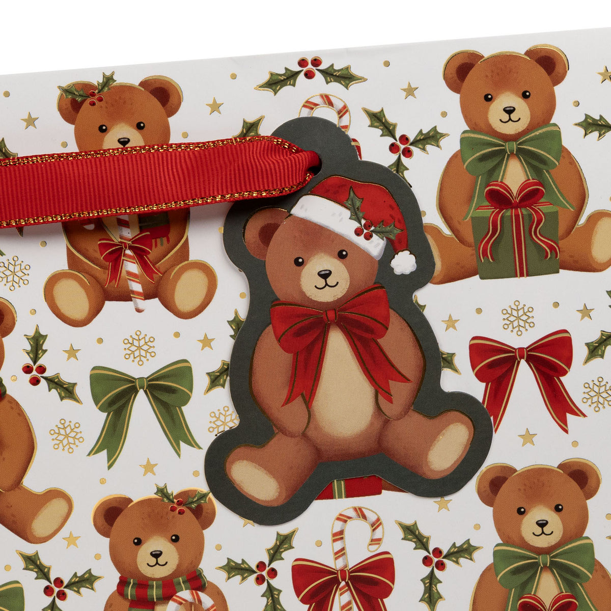 Teddy Bears Gift Bag - XGBM860.1c.jpg