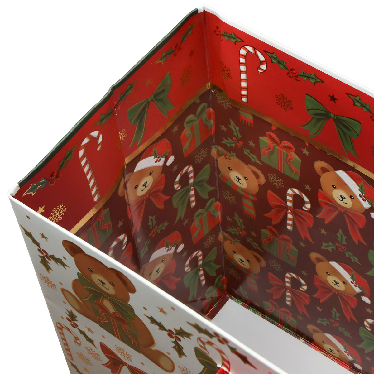 Teddy Bears Gift Bag - XGBM860.1d.jpg