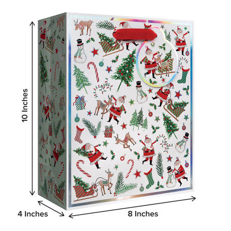 Santa Season Gift Bag - XGBM878.1b.jpg