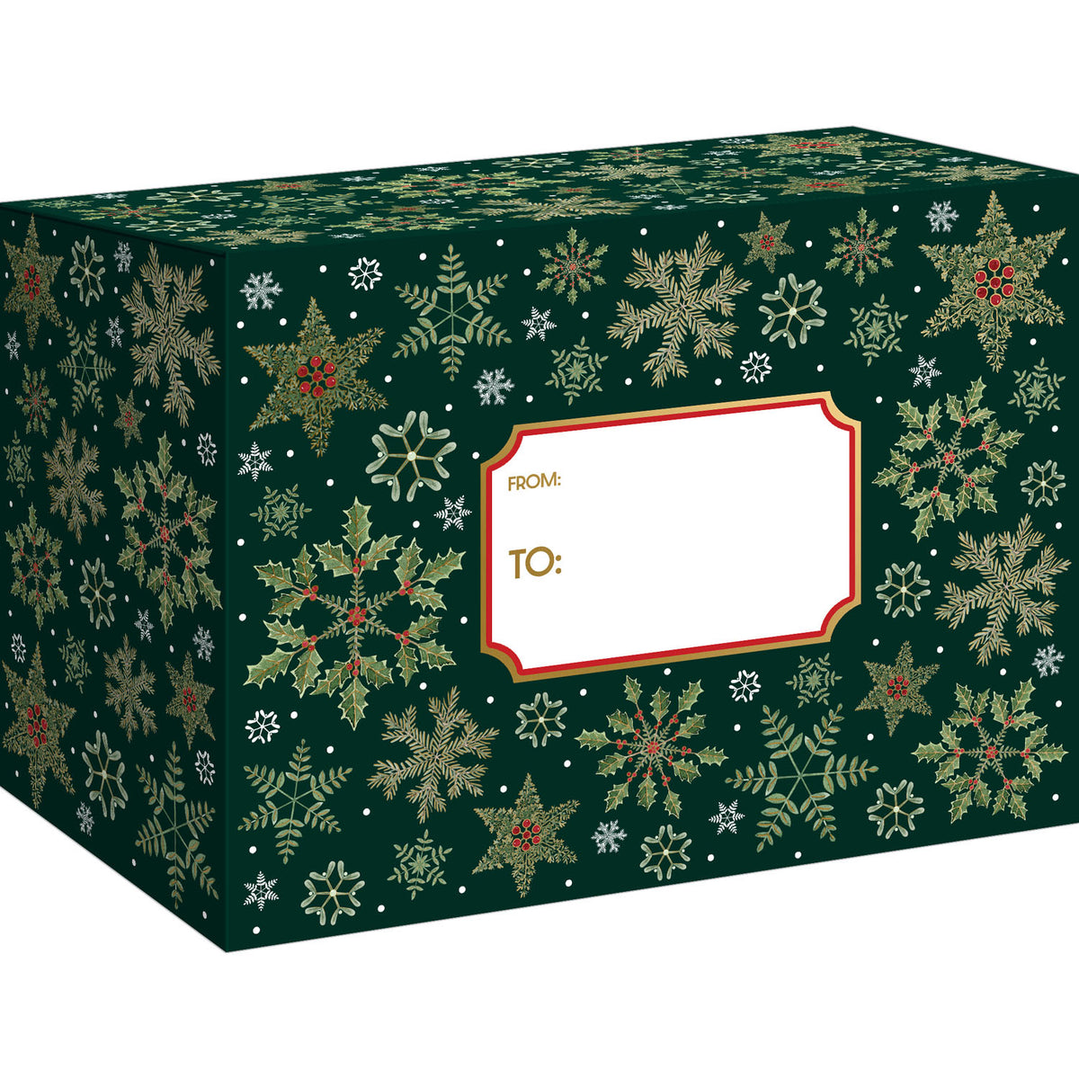 Forest Snowflakes Theme Mailing Box - XMB846.1a.jpg
