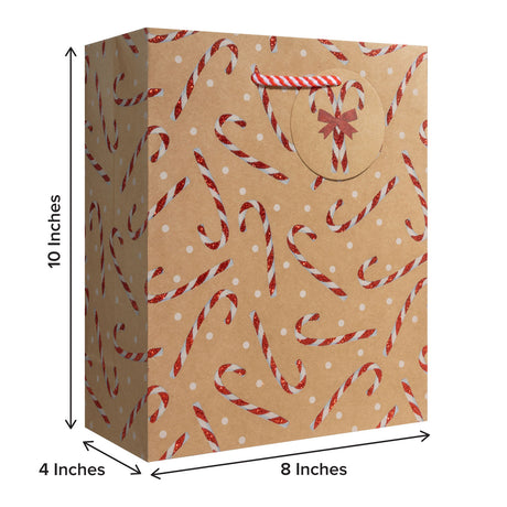 Candy Cane Glitter Gift Bag - XMT791.1b.jpg