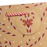 Candy Cane Glitter Gift Bag - XMT791.1c.jpg
