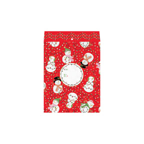 Snowmen & Lights Theme Mailing Envelope - XMY833.1a.jpg