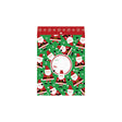 Sparkling Santa Green Theme Mailing Envelope - XMY882.1a.jpg