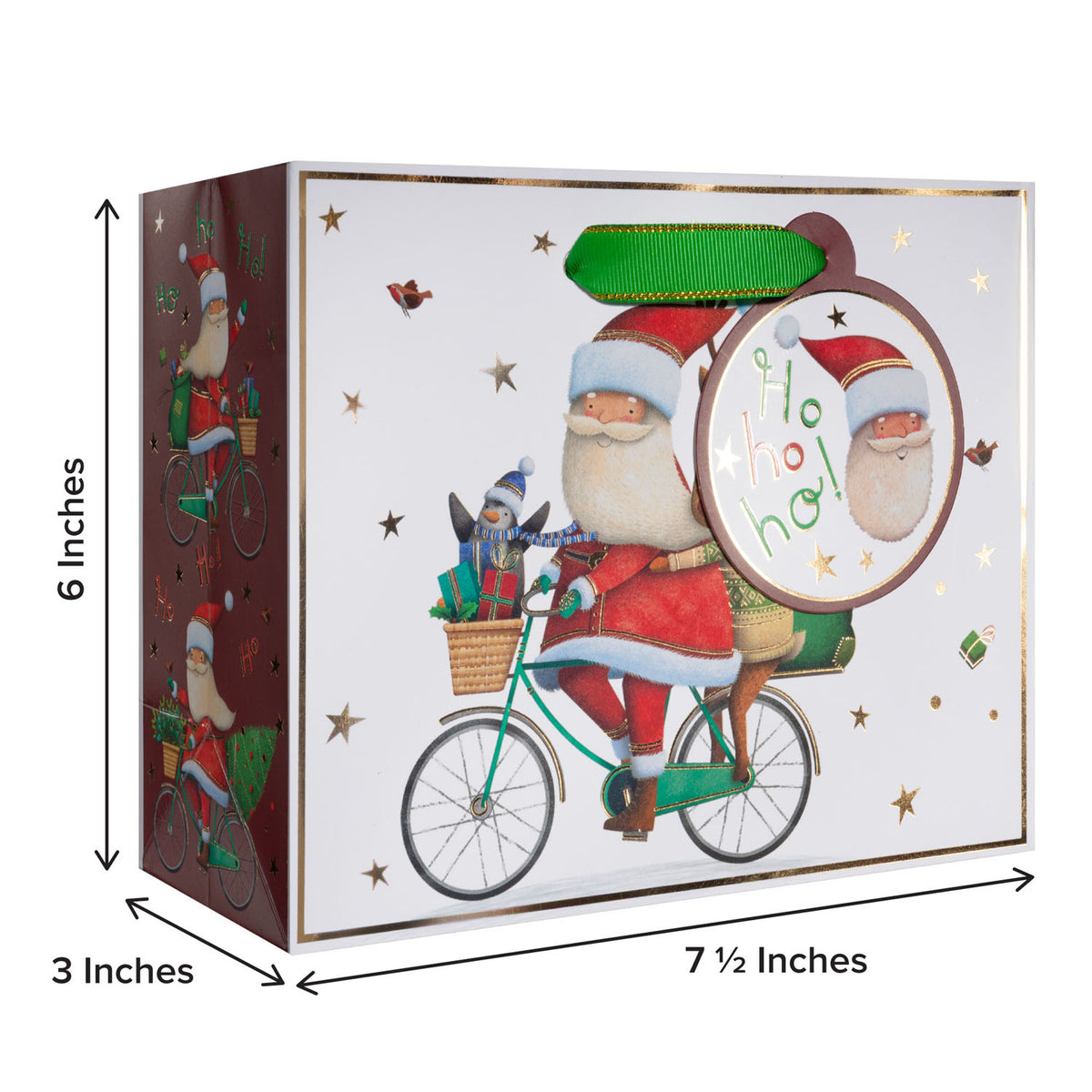 Santa Bicycle Gift Bag - XST738.1b.jpg