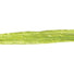 Chartreuse - Pearlized Wraphia - 100 Yards