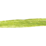 Chartreuse - Pearlized Wraphia - 100 Yards