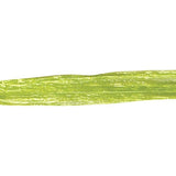 Chartreuse - Pearlized Wraphia - 100 Yards