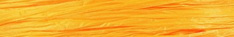Daffodil - Matte Wraphia - 100 Yards