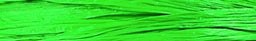 Kelly Green - Matte Wraphia - 100 Yards