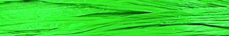 Kelly Green - Matte Wraphia - 100 Yards