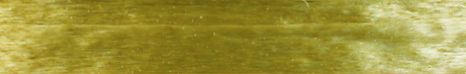 Champagne - Pearlized Wraphia - 100 Yards