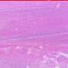 Pink - Pearlized Wraphia - 100 Yards