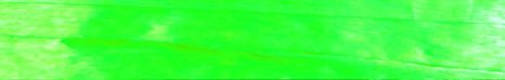 Citrus - Pearlized Wraphia - 100 Yards