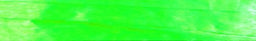 Citrus - Pearlized Wraphia - 100 Yards