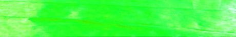 Citrus - Pearlized Wraphia - 100 Yards