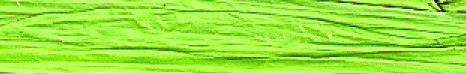 Jungle Green - Matte Wraphia - 100 Yards