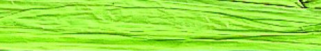 Jungle Green - Matte Wraphia - 100 Yards