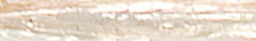 Ivory - Pearlized Wraphia - 100 Yards