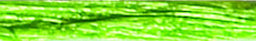 Jungle Green - Pearlized Wraphia - 100 Yards
