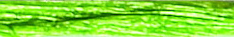Jungle Green - Pearlized Wraphia - 100 Yards