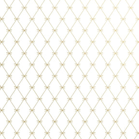 Beautiful Bows - Gift Wrap - Roll (30" x 5 ft.)