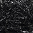 Black - Crinkle Cut Basket Shred - 10 lb Box
