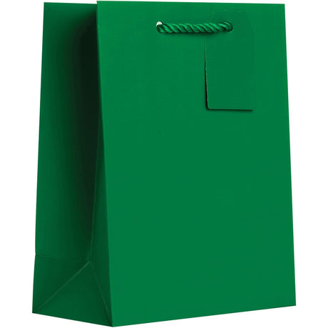 Matte Green - Gift Bag w/Tag - 8 x 4 x 10"
