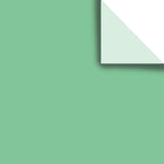 Apple - Gift Tissue - 20 x 30" Sheets