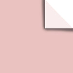 Rose - Gift Tissue - 20 x 30" Sheets