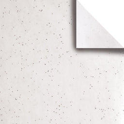 White - Gift Tissue - 20 x 26" Sheets - Hanger Pack