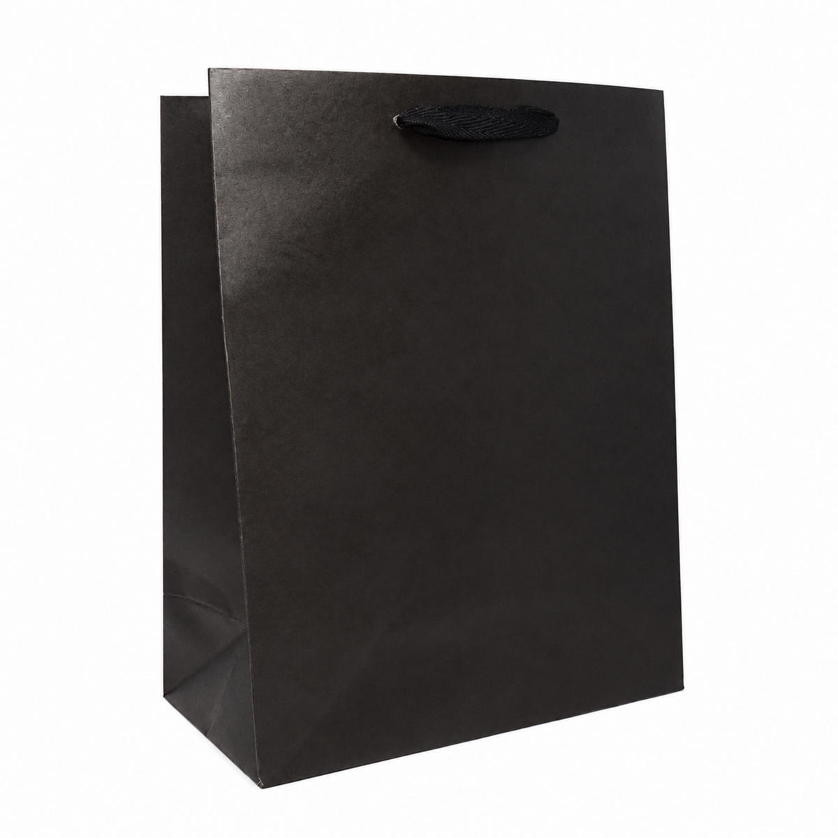 10 x 5 x 13" / Blank Bag / No Printing / Case/100