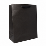10 x 5 x 13" / Blank Bag / No Printing / Case/100