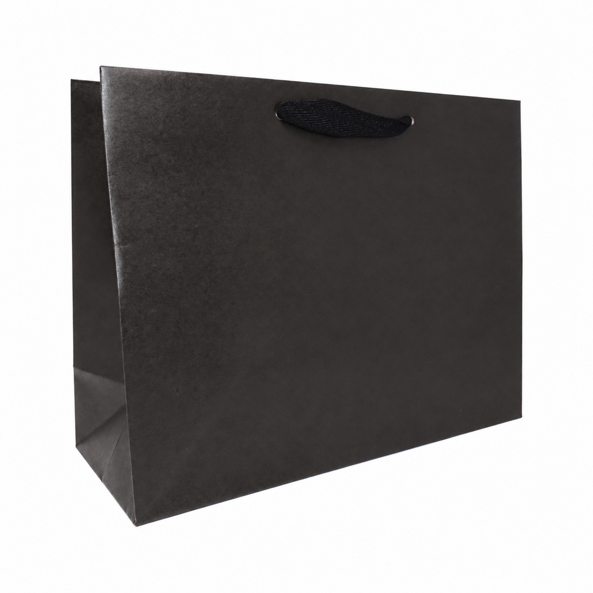13 x 5 x 10" / Blank Bag / No Printing / Case/100