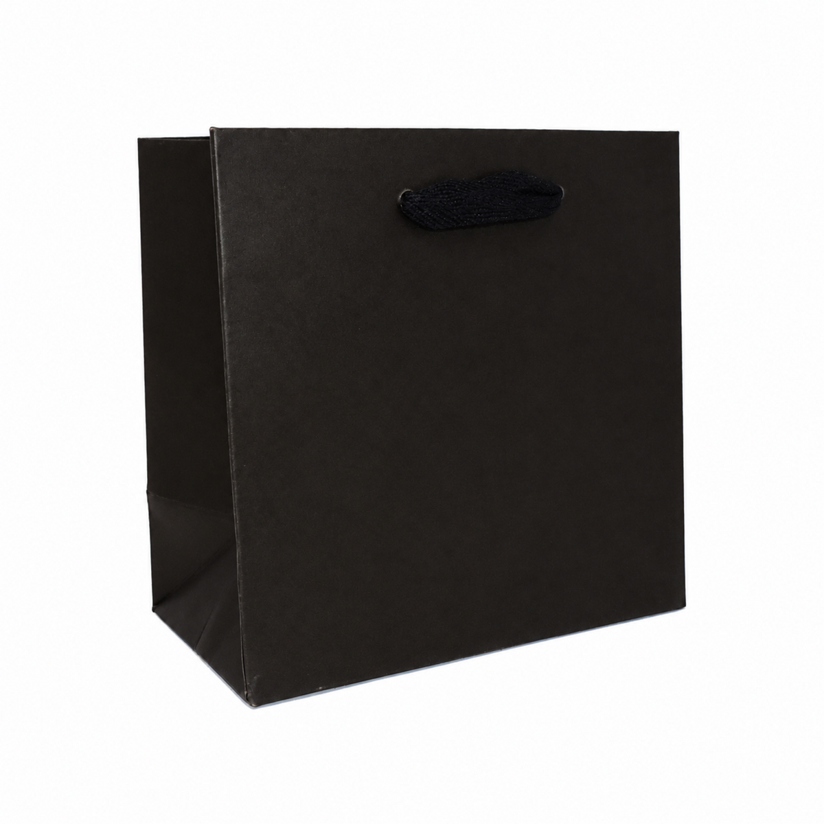 6.5 x 3.5 x 6.5" / Blank Bag / No Printing / Case/100