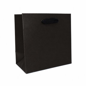 6.5 x 3.5 x 6.5" / Blank Bag / No Printing / Case/100