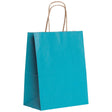 Robin's Egg Blue - Gift Bag - 8 x 4-3/4 x 10-1/2"
