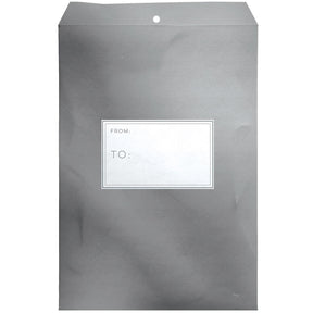Metallic Silver - Theme Mailing Envelope - 9 x 1/2 x 12"