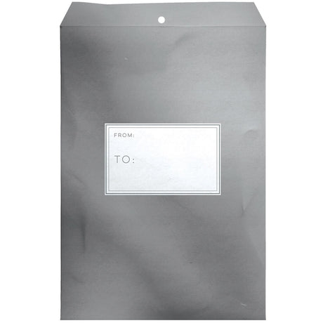 Metallic Silver - Theme Mailing Envelope - 9 x 1/2 x 12"