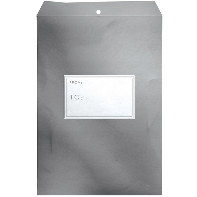 Metallic Silver - Theme Mailing Envelope - 9 x 1/2 x 12"