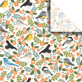 Birdie - Gift Tissue - 20 x 30"
