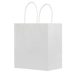 White Kraft - Paper Restaurant / Take Out Bag - 10 x 5 x 10"