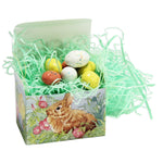Green - Easter Grass - 10 lb. Box