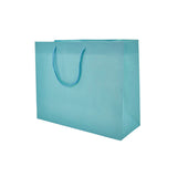 Matte Aqua - Matte Euro Tote - 10 x 4 x 8"