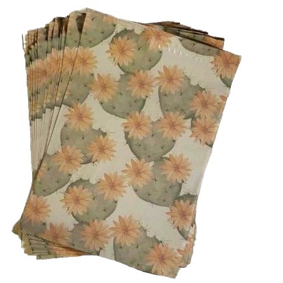 Cactus Blossoms Poly Mailers Size 10x13 Colorful Shipping Bags
