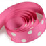 Shocking Pink - Domino Dots Ribbon - 7/8" x 100 Yards